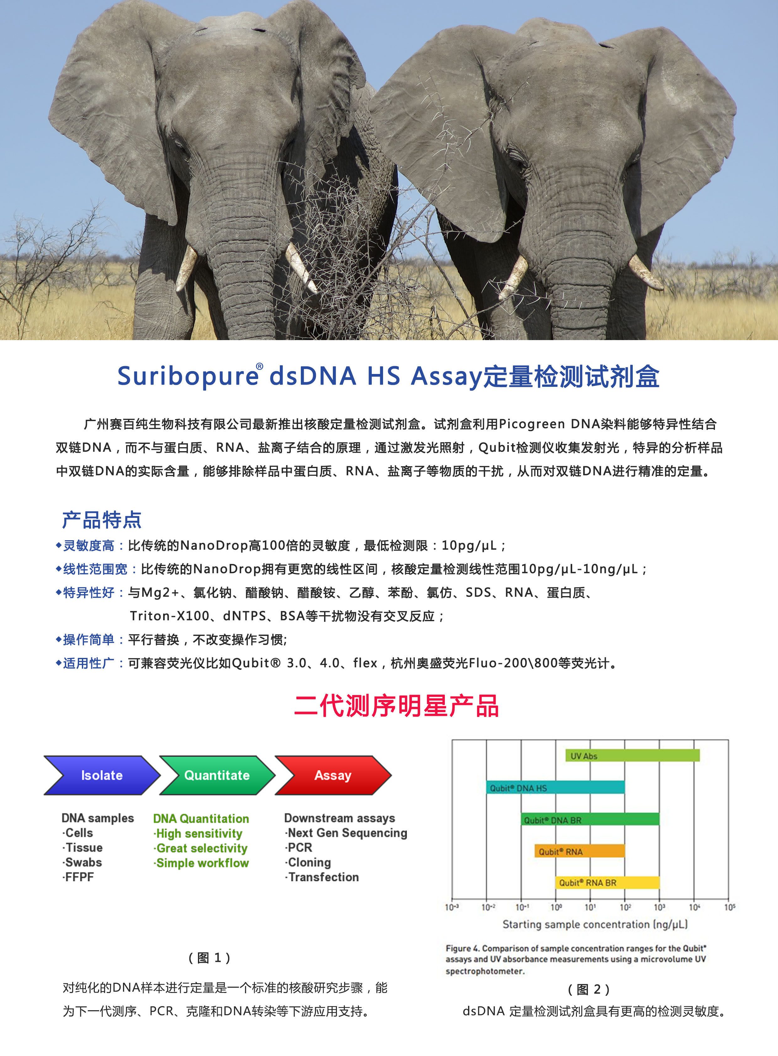 試劑盒單頁正面11.jpg